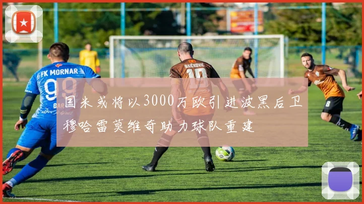 国米或将以3000万欧引进波黑后卫穆哈雷莫维奇助力球队重建