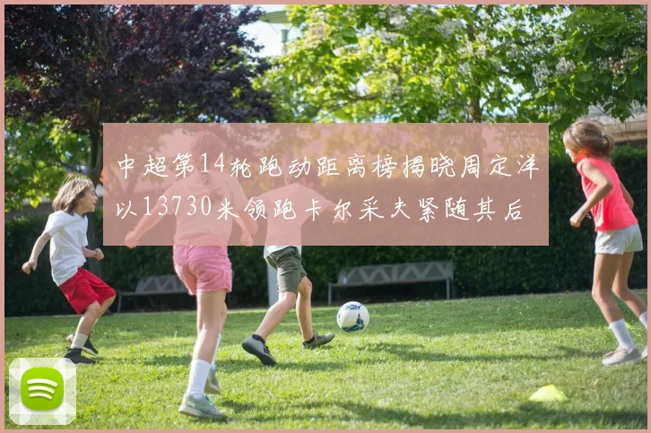 中超第14轮跑动距离榜揭晓周定洋以13730米领跑卡尔采夫紧随其后